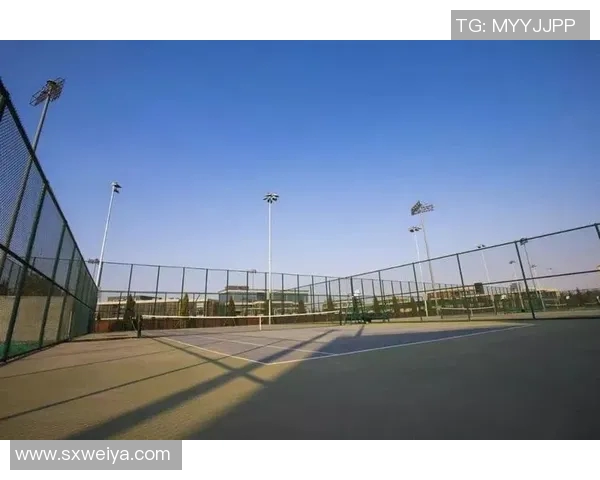 西安网球队的灵活性探讨与发展策略分析